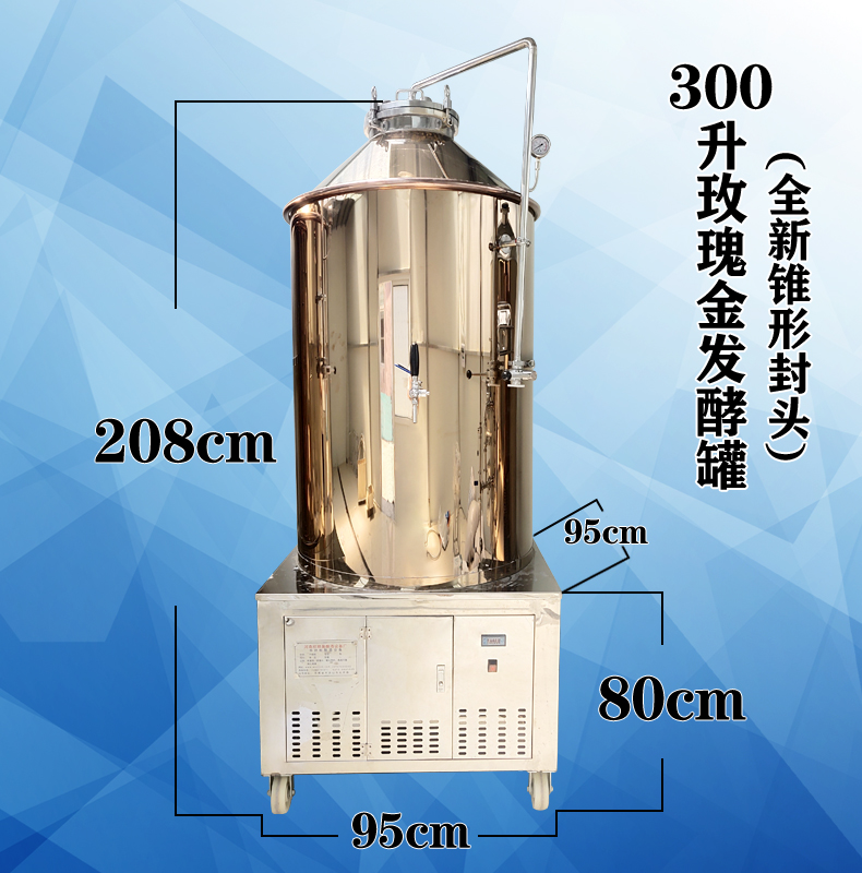 欣顺昊 鲜啤啤酒发酵罐自酿鲜啤黑啤设备商用糖化罐工厂直销 - 图0