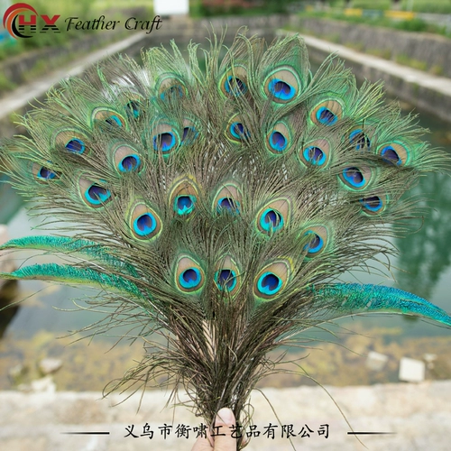 Домашняя гостиная чистая натуральная павлина перо хвост хвост DIY украшения свадебные вазы украшения павлина волосы