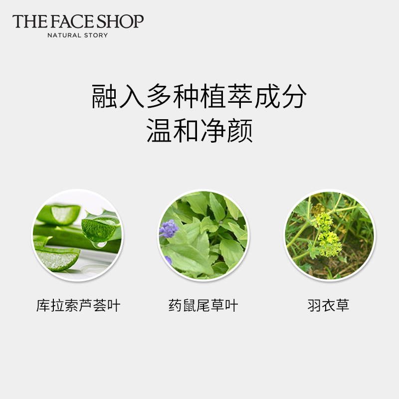 TheFaceShop菲诗小铺草本洁面乳泡沫洗面奶女深层清洁男学生正品