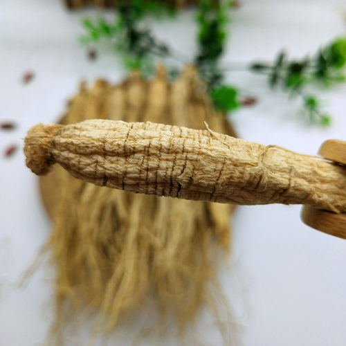 长白山人参白参原皮生晒参新货东北特产整支参泡酒煲汤泡水片500g - 图2
