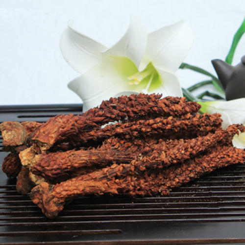 长白山野生不老草100g东北特产草苁蓉回春草泡酒料列当泡茶山苞米 - 图3