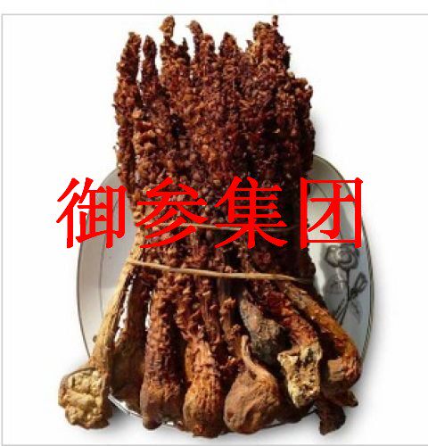 长白山野生不老草100g东北特产草苁蓉回春草泡酒料列当泡茶山苞米 - 图2