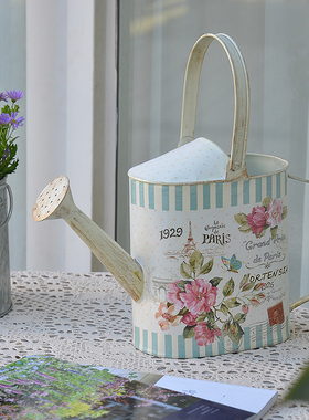 法式田园铁皮花园花洒装饰摆件