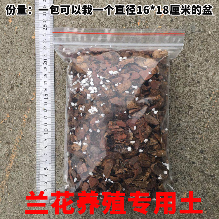 金钱菖蒲土虎须黄金姬菖蒲龙根姬月季兰花专用土盆景种苗-图2