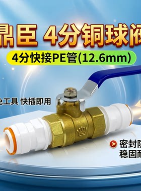 鼎臣DCC4分反冲洗阀4分管铜球阀