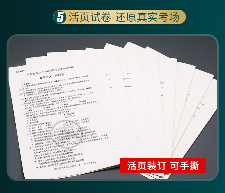 全新正版 备考2025 江苏专转本 大学语文 历年真题与详细解析 2005-2023年真题 试卷版 转本文科 同方名师赵轩主编 河海大大学出版 - 图3