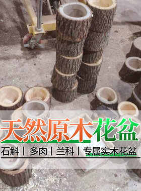 多肉植物杉木木质原木花盆