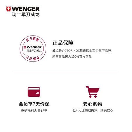 Wenger/威戈休闲通勤旅行大容量16英寸电脑包男大学生双肩包轻便 - 图3