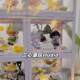 Pop Mart DIMOO Dream Inside Dream Outside Blind Box Scene Layout Decoration Landscape Miniature Props Diy Storage Box