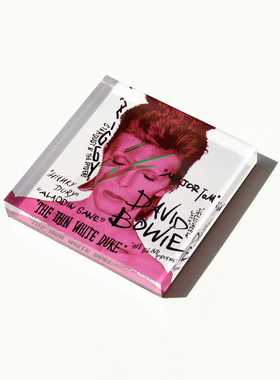 物色时差DavidBowie冰箱贴