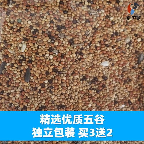 滋养丸和尚小太阳吸蜜灰机金刚金太食物保健砂手工营养鸟粮食奶粉 - 图1
