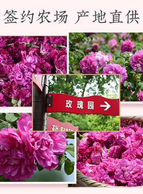 谢馥春花颜精华露玫瑰原露纯露爽肤水喷雾保湿湿敷 135mL