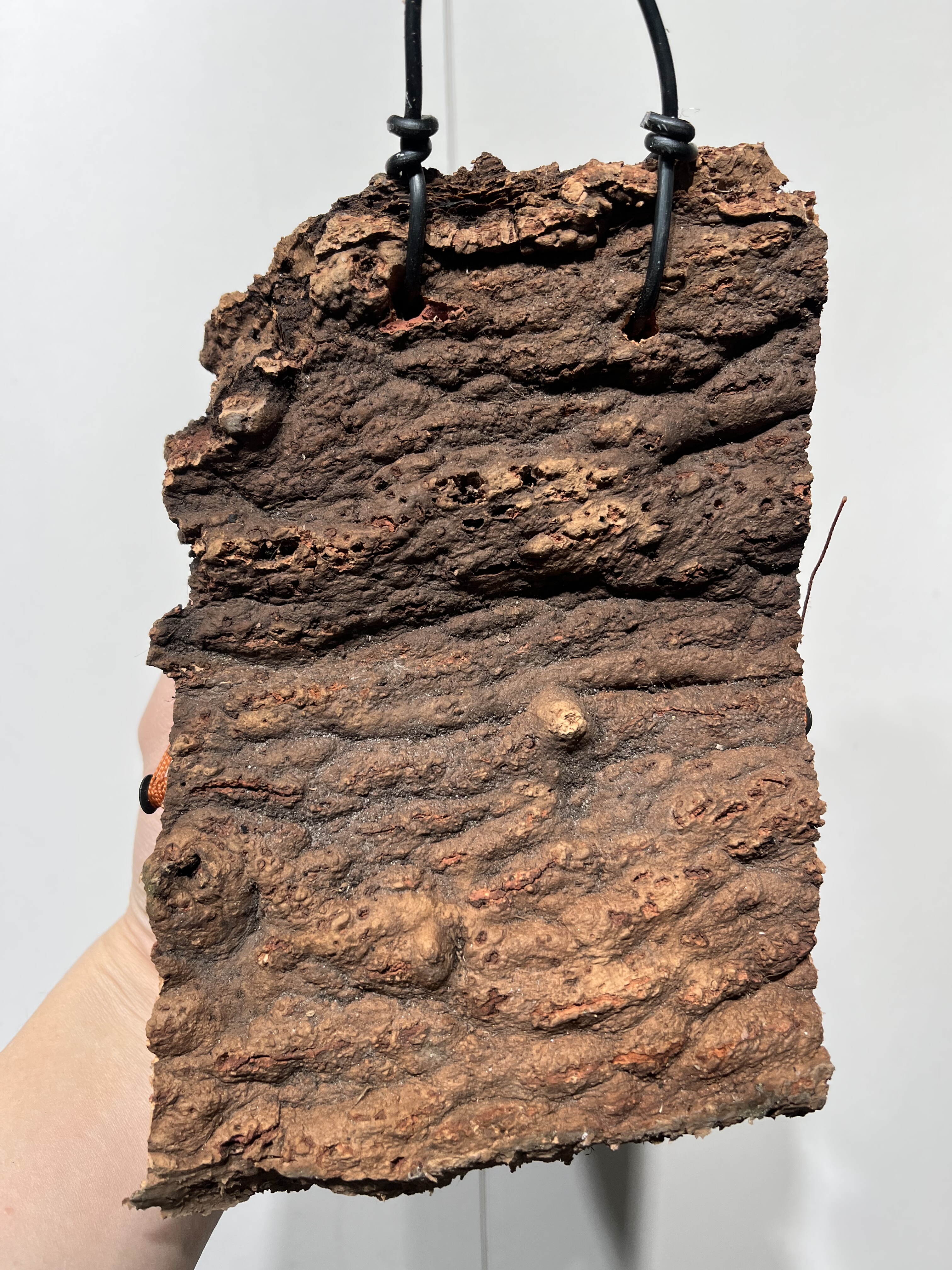 一物一拍软木板水苔球 板13*20厚度4.5cm 水苔球12.5cm送绑绳B473,淘宝优惠券,粉丝福利购,淘宝优惠卷