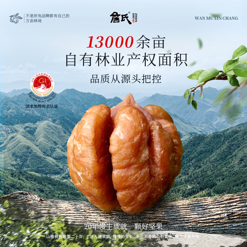 詹氏山核桃仁分享装250gX2共500g散装独立小包装安徽宁国小核桃 - 图0
