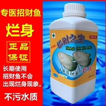 The Treasure of the Treasure Cure of the Property Fish Red Spotted Fodder for the Prevention and Control of Fish and Fish Rotten Body Maid 2 Gold War Boat Fish Food