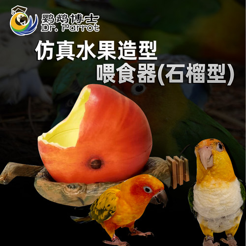 虎皮玄凤鹦鹉鸟食盒防撒防溅鹦鹉自动喂食器防撒喂鸟饮水器下料器 - 图3