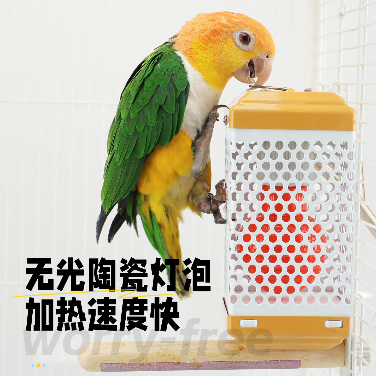 鹦鹉保温暖灯过冬加热灯温控取暖器防烫恒温智能蜜袋鼯小宠保温灯,淘宝优惠券,粉丝福利购,淘宝优惠卷