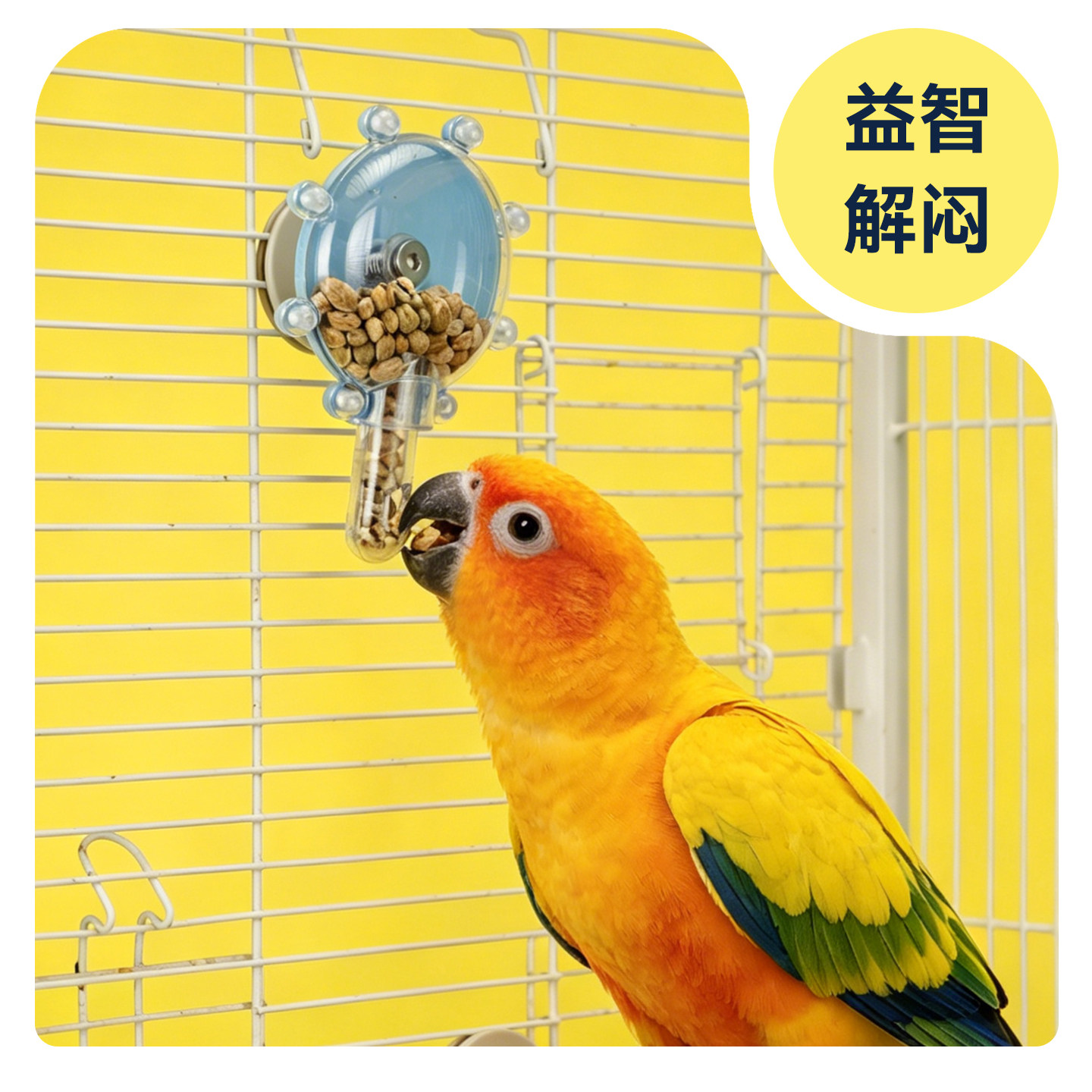 图5