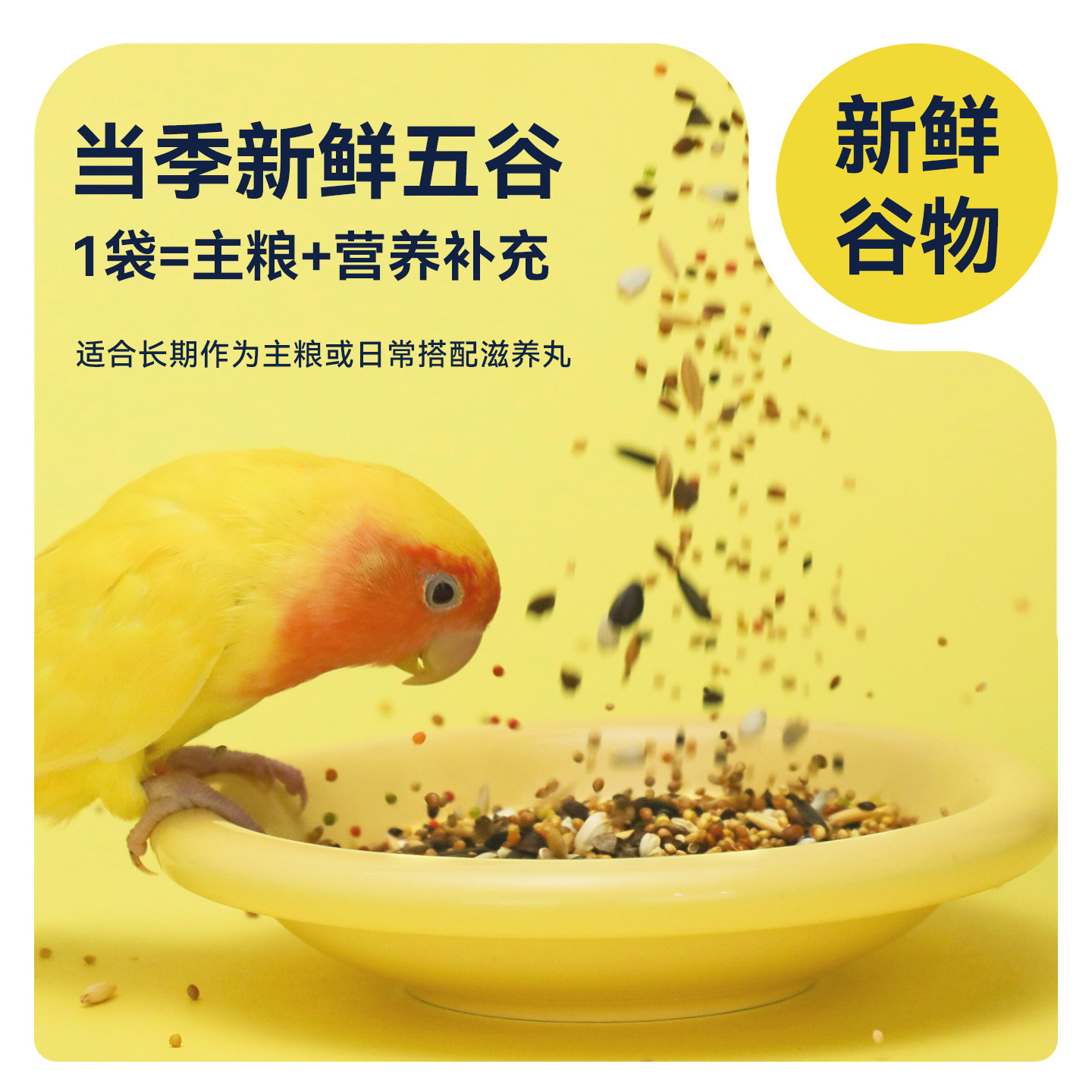 鹦鹉博士牡丹玄凤饲料滋养丸五色黍子虎皮混合粮繁殖粮营养鸟粮食,淘宝优惠券,粉丝福利购,淘宝优惠卷