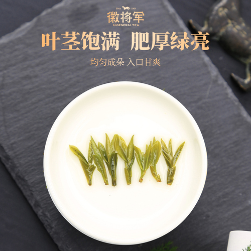 徽将军2024新茶霍山黄芽250g明前特级嫩芽原产地黄茶茶叶安徽春茶