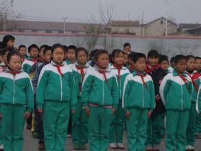 中小学生绿色校服套装/小学绿色校服裤子/运动服/白色T恤蓝色校服 - 图0