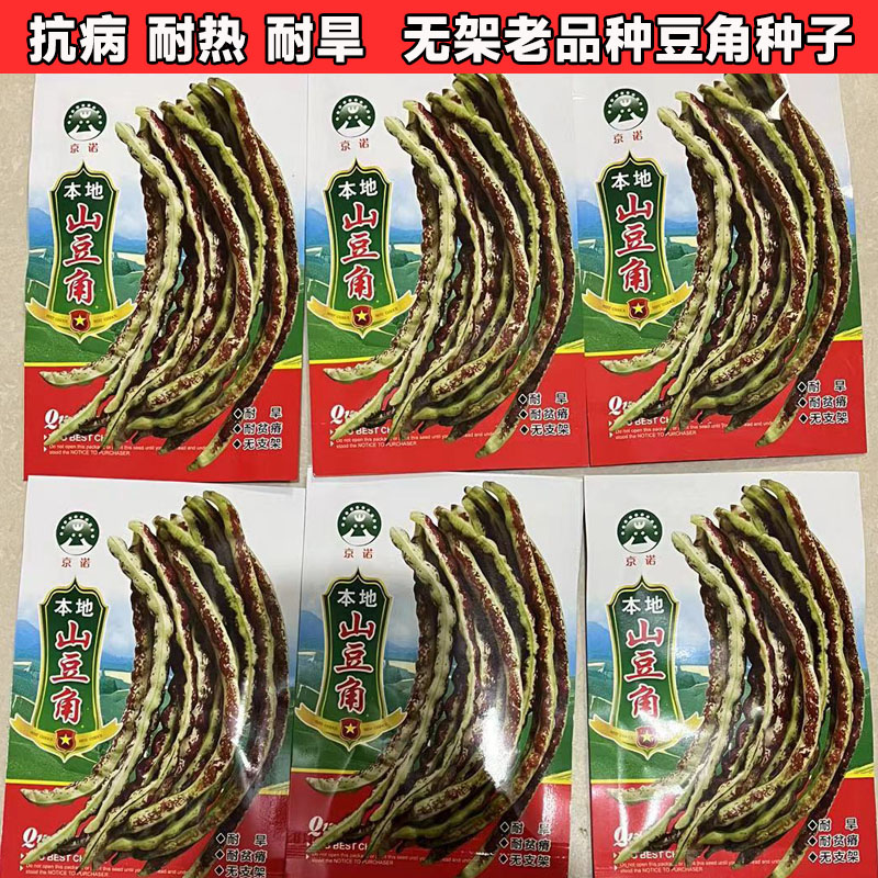 老品种山豆角种子无支架豆种籽春夏四季农家花地龙长豇豆蔬菜种孑 - 图0