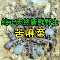 The Jis Source Fresh Wild Bitter Disc of Bitter Spicy Dish Now is now shipped 500 gr Shunfeng Beijing Shipping