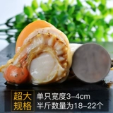 Мясовое морское морское морское мясо поймало замороженные морепродукты Юань моллюски моллюско