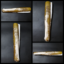 Large knife mussel 107743 H41 181mm F 190y Ensis siliqua