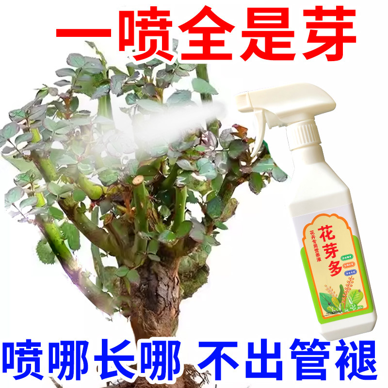 植物催芽剂老脏促发芽僵苗快速发新芽防止黄叶营养移栽生根复活液,淘宝优惠券,粉丝福利购,淘宝优惠卷