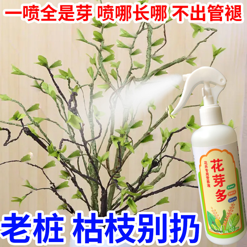 植物催芽剂老脏促发芽僵苗快速发新芽防止黄叶营养移栽生根复活液,淘宝优惠券,粉丝福利购,淘宝优惠卷
