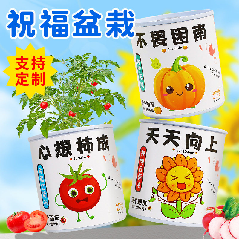 儿童节礼物幼儿园种植绿植分享奖品学生摆地摊地推奖品义卖小商品