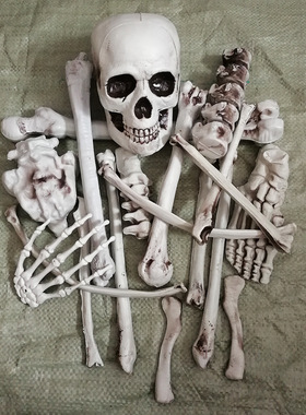 万圣节骷髅骨架酒吧密室逃脱恐怖