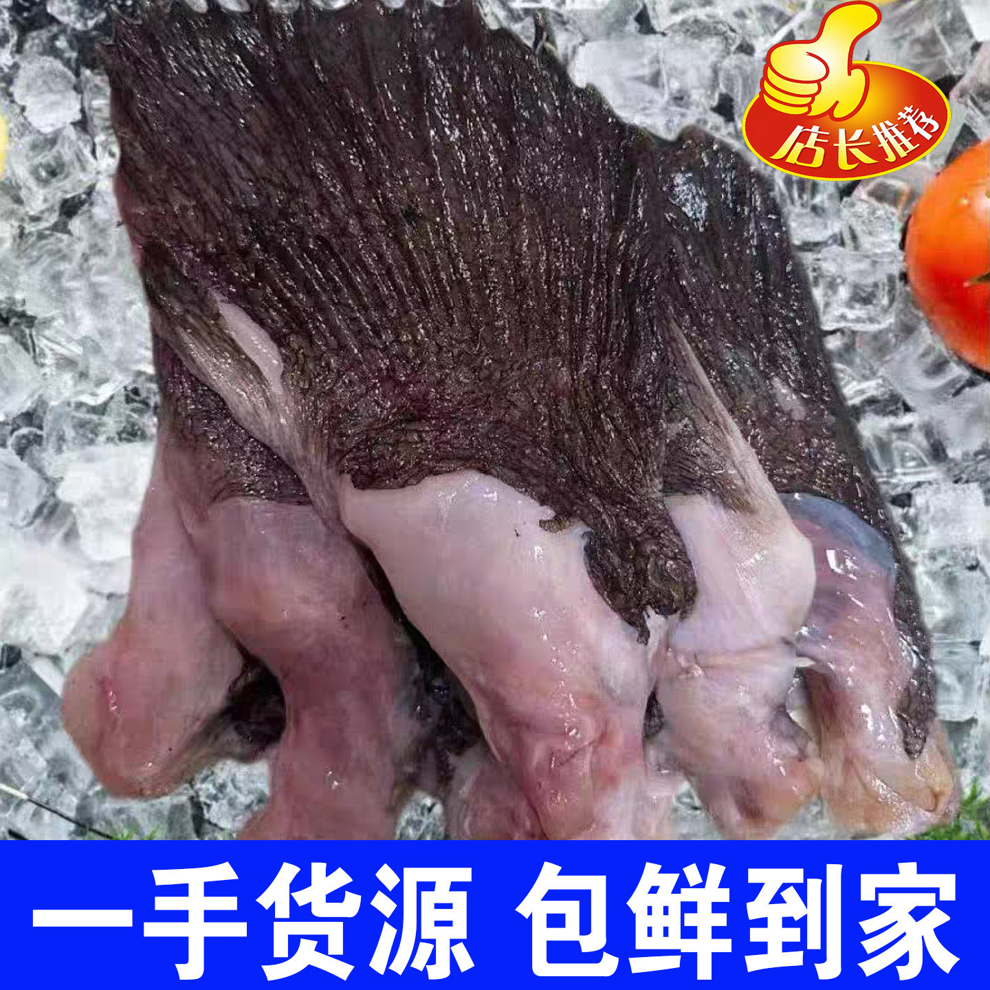 新鲜安康鱼翅膀冷冻鱼翅鱼鳍安康鱼鲜活深海鱼翅海鲜水产整箱批发,淘宝优惠券,粉丝福利购,淘宝优惠卷