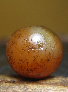 千年满风化老玛瑙珠12×10.5mm