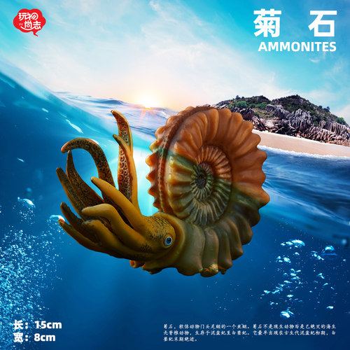 沧龙深海海洋恐龙模型 霸王龙三角龙 仿真动物模型儿童男孩玩具 - 图2