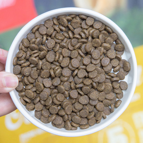 贝多芬宠物/美国进口Orijen渴望无谷鸡肉全猫粮六种鱼猫粮5.4kg - 图2