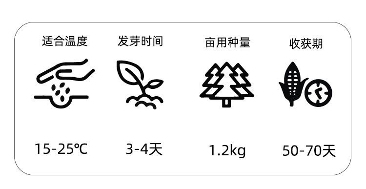 理想农业千军万马长豇豆种子长豆角籽中早熟抗病高产肉厚甜糯 - 图2