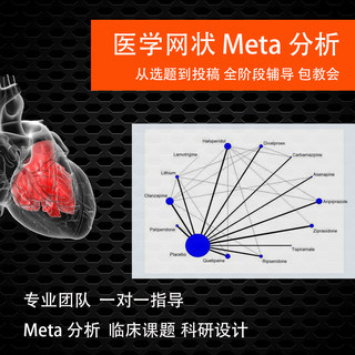 Network meta analysis full guidance system evaluation tutorial software operation guidance topic selection one-on-one teaching writing