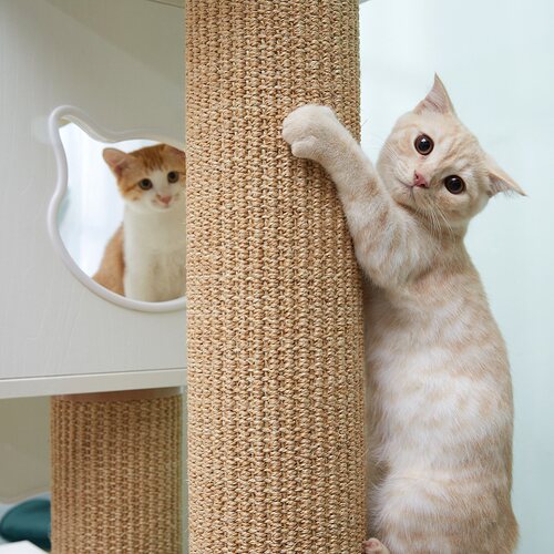 CatS猫家具步步高带抽屉 木制猫窝猫爬架猫树猫抓柱猫玩具 送垫 - 图2