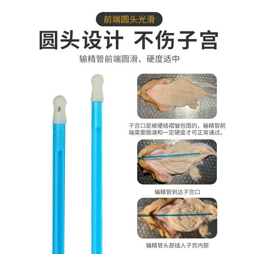 倍特双一次性输精管狗狗人工受精器输精管犬用人工输精配种专用 - 图2