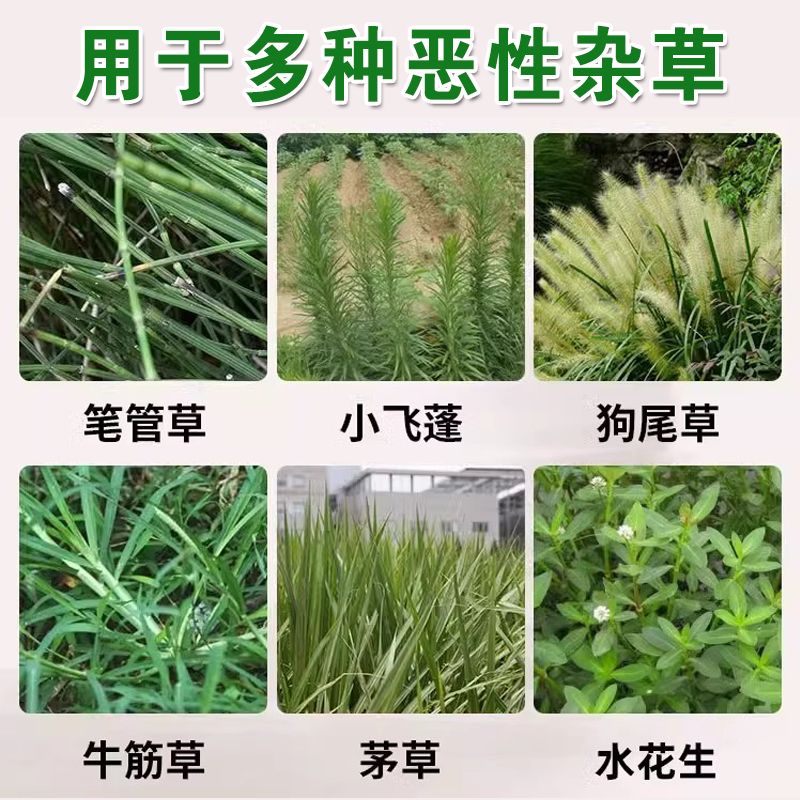 精草铵磷铵盐草铵膦除草济草安磷杀草剂草甘铵膦正品草胺磷牛筋草-图2