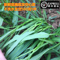 Green natural farmhouse Self-planting fresh hollow dish to make melon and fruit pollution-free Thongdish Thongfeng 1 kg of vegetables