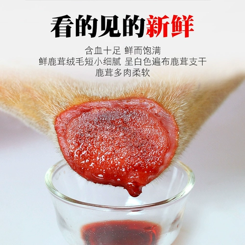 Свежие оленя рога цельнозернового рога вино Jilin Sika Deer Horn Freshler Stler Fresh Blood Нарезанный кровью ломтики для крови наличное вино подлинное