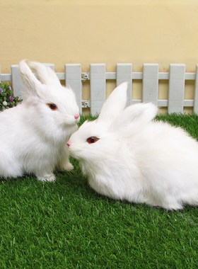仿真田园风影楼动物拍摄嫦娥玉兔
