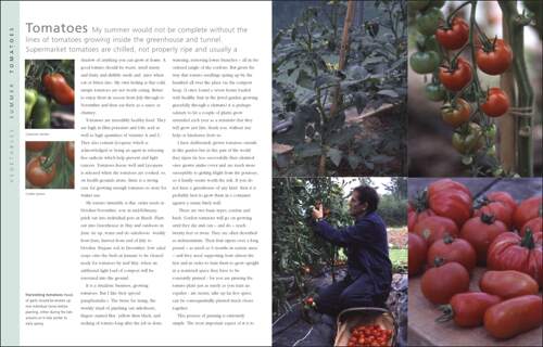 英文原版 绿荫花园 Monty Don 园艺智慧 园丁指南 The Complete Gardener DK生活百科  园艺设计 盆栽养植 - 图0