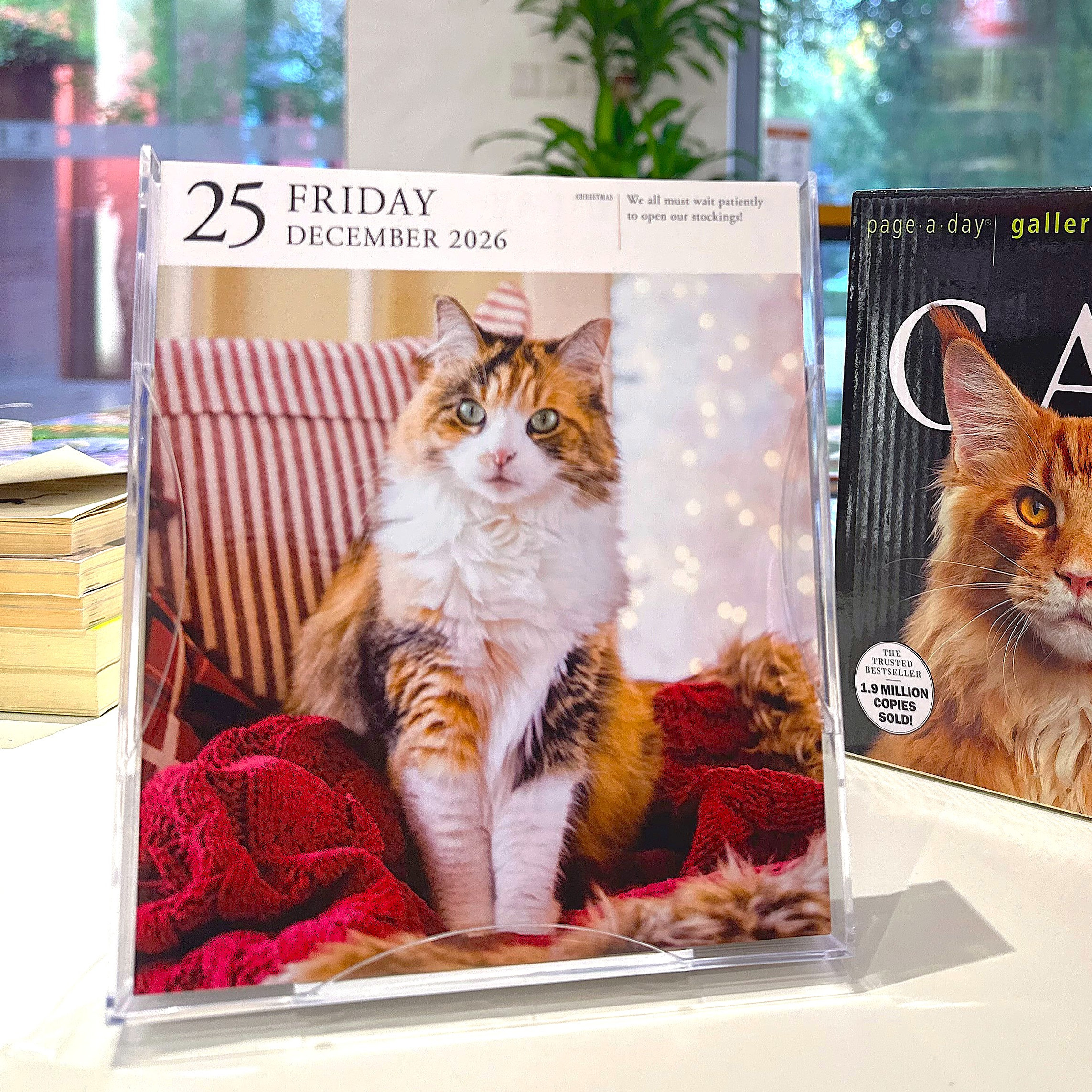 2026年画廊日历 猫咪 宠物摄影 每天一页 进口台历 新年礼物 英文原版 Cat Page-A-Day Gallery Calendar - 图0