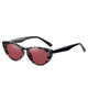 European and American Little Red Book retro cat eye leopard print sunglasses polarized