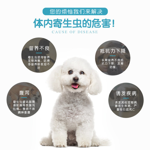 快乐红糖猫咪驱球虫药犬狗驱虫弓形虫D800百球猫拉稀地克珠利溶液 - 图2