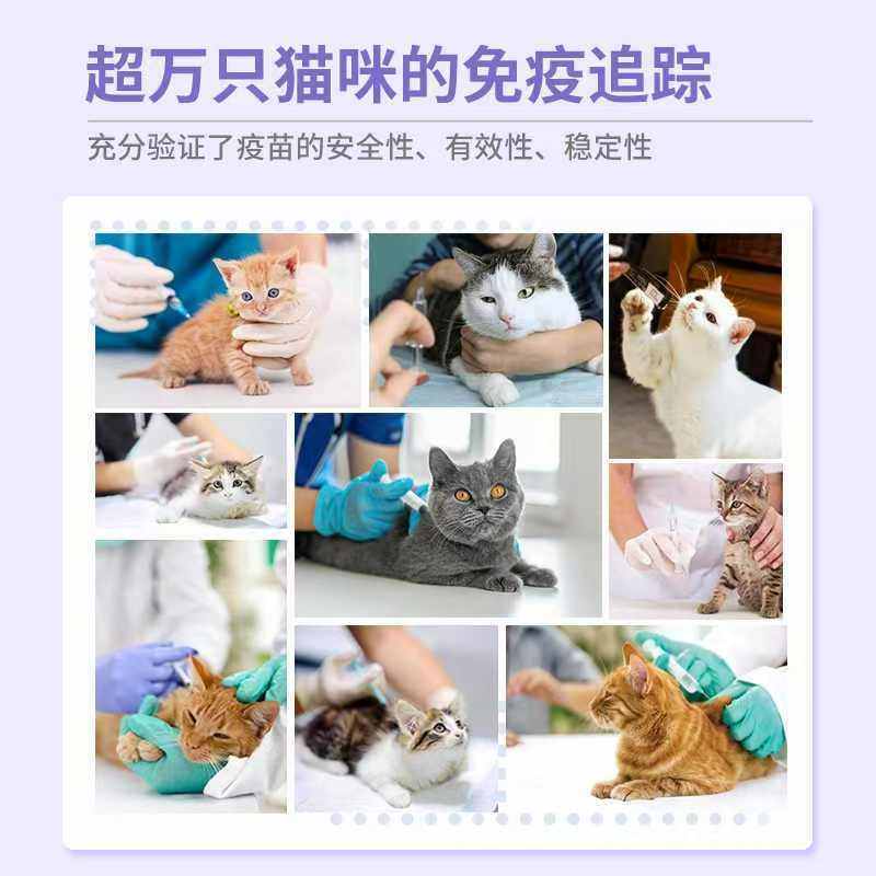 科妙优国产猫三联疫苗科前生物猫咪鼻支猫瘟杯状小猫病毒针,淘宝优惠券,粉丝福利购,淘宝优惠卷